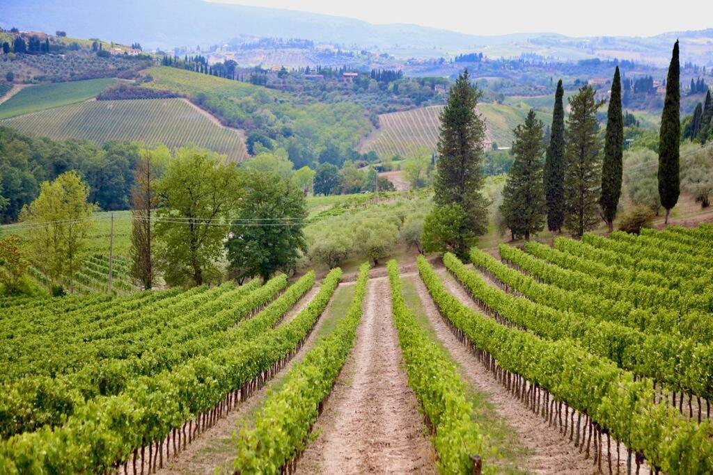 Lovely 2 Bedroom In San Gimignano Historic Center 외부 사진