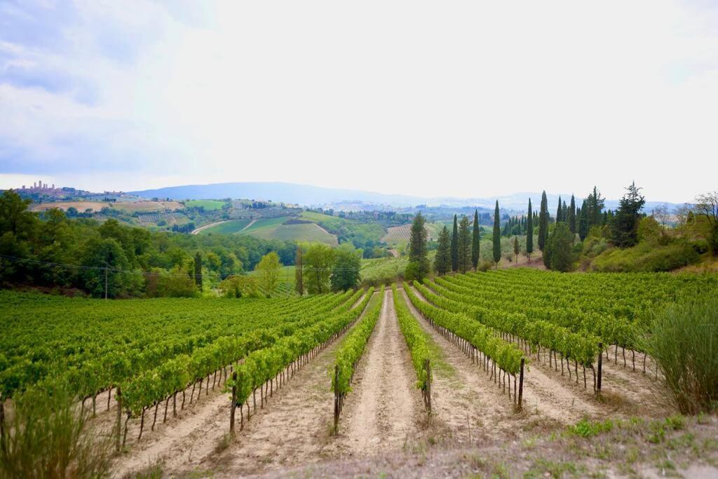 Lovely 2 Bedroom In San Gimignano Historic Center 외부 사진